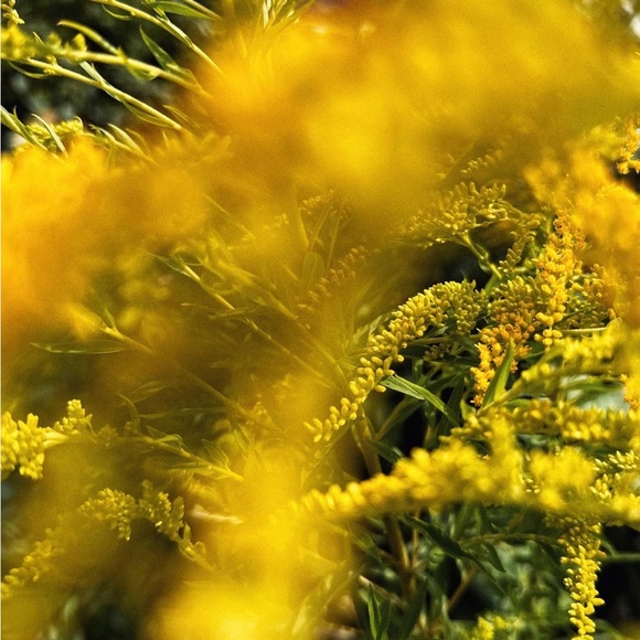 Floral Enamel Butterfly Pin - New - Picture 2 of 4